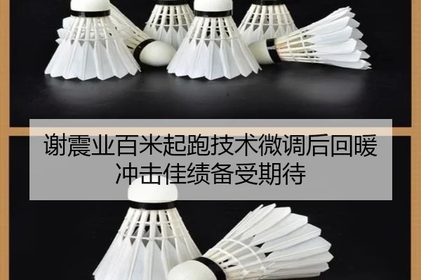 谢震业百米起跑技术微调后回暖 冲击佳绩备受期待