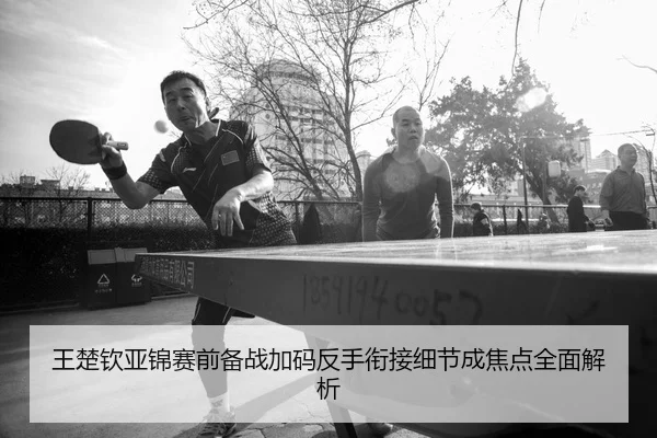 王楚钦亚锦赛前备战加码反手衔接细节成焦点全面解析